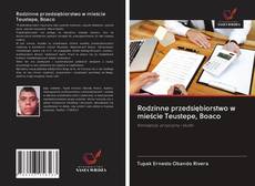 Обложка Rodzinne przedsiębiorstwo w mieście Teustepe, Boaco