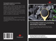 Bookcover of Composites based on promising secondary resources