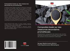 Bookcover of Composites basés sur des ressources secondaires prometteuses