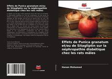 Effets de Punica granatum et/ou de Sitagliptin sur la néphropathie diabétique chez les rats mâles的封面