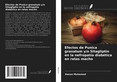 Bookcover of Efectos de Punica granatum y/o Sitagliptin en la nefropatía diabética en ratas macho