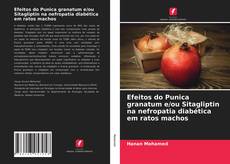 Buchcover von Efeitos do Punica granatum e/ou Sitagliptin na nefropatia diabética em ratos machos