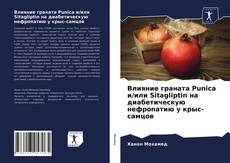 Bookcover of Влияние граната Punica и/или Sitagliptin на диабетическую нефропатию у крыс-самцов