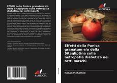 Capa do livro de Effetti della Punica granatum e/o della Sitagliptina sulla nefropatia diabetica nei ratti maschi 