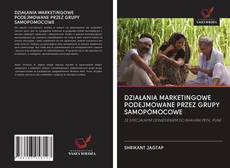 Обложка DZIAŁANIA MARKETINGOWE PODEJMOWANE PRZEZ GRUPY SAMOPOMOCOWE