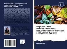Перспективы преподавателей педагогических учебных заведений Турции的封面