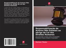 Couverture de Responsabilização de Actores Não Estatais ao abrigo da Lei dos Direitos Humanos