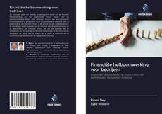 Financiële hefboomwerking voor bedrijven的封面