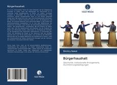 Capa do livro de Bürgerhaushalt 