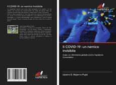Il COVID-19: un nemico invisibile kitap kapağı