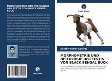 Buchcover von MORPHOMETRIE UND HISTOLOGIE DER TESTIS VON BLACK BENGAL BUCK