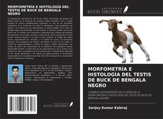 MORFOMETRÍA E HISTOLOGÍA DEL TESTIS DE BUCK DE BENGALA NEGRO kitap kapağı