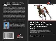 Buchcover von MORFOMETRIA E ISTOLOGIA DEL TESTIDE DEL BENGALO NERO BUCK