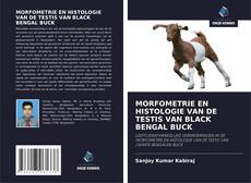 Bookcover of MORFOMETRIE EN HISTOLOGIE VAN DE TESTIS VAN BLACK BENGAL BUCK