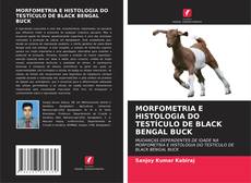 Portada del libro de MORFOMETRIA E HISTOLOGIA DO TESTÍCULO DE BLACK BENGAL BUCK