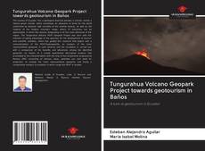 Buchcover von Tungurahua Volcano Geopark Project towards geotourism in Baños