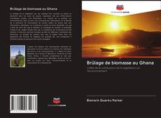 Portada del libro de Brûlage de biomasse au Ghana