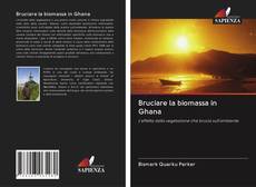 Обложка Bruciare la biomassa in Ghana