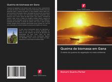 Buchcover von Queima de biomassa em Gana