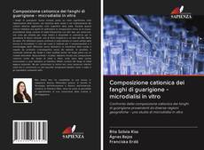 Bookcover of Composizione cationica dei fanghi di guarigione - microdialisi in vitro