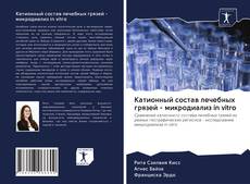 Bookcover of Катионный состав лечебных грязей - микродиализ in vitro