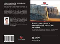 Обложка Études lithologiques et pétrophysiques des roches terrigènes