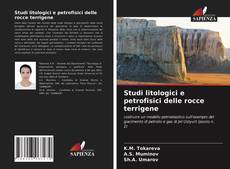 Buchcover von Studi litologici e petrofisici delle rocce terrigene