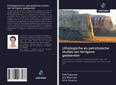 Copertina di Lithologische en petrofysische studies van terrigene gesteenten