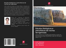 Capa do livro de Estudos litológicos e petrofísicos de rochas terrigenosas 