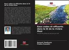 Eaux usées et effluents dans le lit de la rivière Musi kitap kapağı