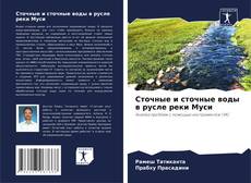 Buchcover von Сточные и сточные воды в русле реки Муси