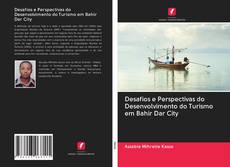 Bookcover of Desafios e Perspectivas do Desenvolvimento do Turismo em Bahir Dar City