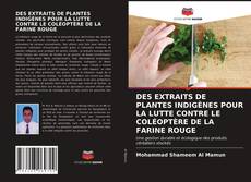 DES EXTRAITS DE PLANTES INDIGÈNES POUR LA LUTTE CONTRE LE COLÉOPTÈRE DE LA FARINE ROUGE的封面