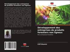 Buchcover von Développement des entreprises de produits forestiers non ligneux