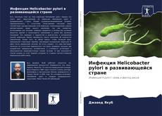 Buchcover von Инфекция Helicobacter pylori в развивающейся стране