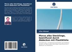 Обложка Morus alba Stecklinge, beeinflusst durch Abdecken mit Plastikfolie