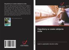 Copertina di Zagubiony w czasie zabijania snów