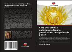Bookcover of Rôle des canaux anioniques dans la germination des grains de pollen