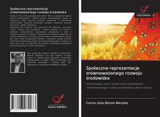 Copertina di Społeczne reprezentacje zrównoważonego rozwoju środowiska