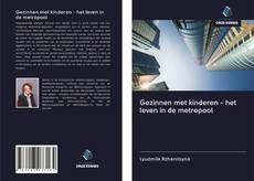 Copertina di Gezinnen met kinderen - het leven in de metropool