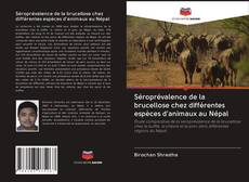 Buchcover von Séroprévalence de la brucellose chez différentes espèces d'animaux au Népal
