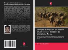Bookcover of Soroprevalência de brucelose em diferentes espécies de animais no Nepal