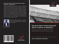 Copertina di Sytuacja dzieci towarzyszących swoim matkom w więzieniu