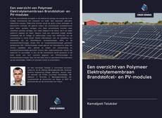 Een overzicht van Polymeer Elektrolytemembraan Brandstofcel- en PV-modules的封面