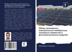 Bookcover of Обзор полимерных электролитных мембранных топливных элементов и фотоэлектрических модулей