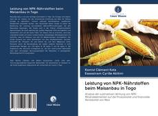 Buchcover von Leistung von NPK-Nährstoffen beim Maisanbau in Togo