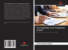 Pre-feasibility of an investment project的封面