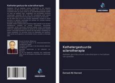 Bookcover of Kathetergestuurde sclerotherapie