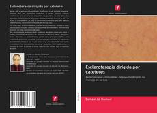 Bookcover of Escleroterapia dirigida por cateteres