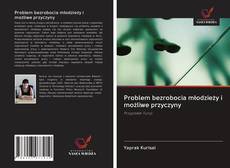 Portada del libro de Problem bezrobocia młodzieży i możliwe przyczyny